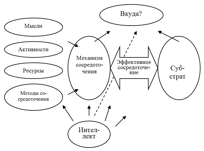 Интеллект и сосредоточение